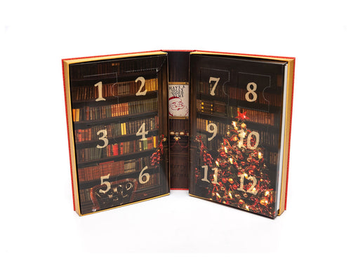 12 PUZZLES BEFORE CHRISTMAS