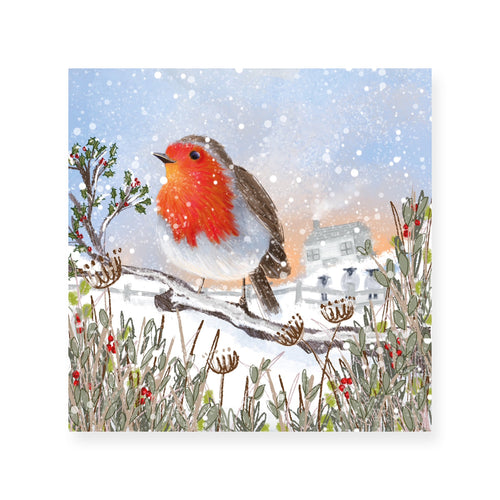 Winter Robin Christmas Cards Pack of 8 2025