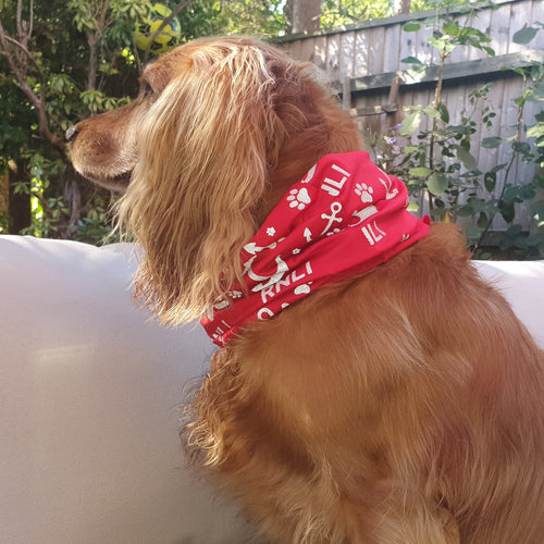 Reflective RNLI Printed Dog Bandana