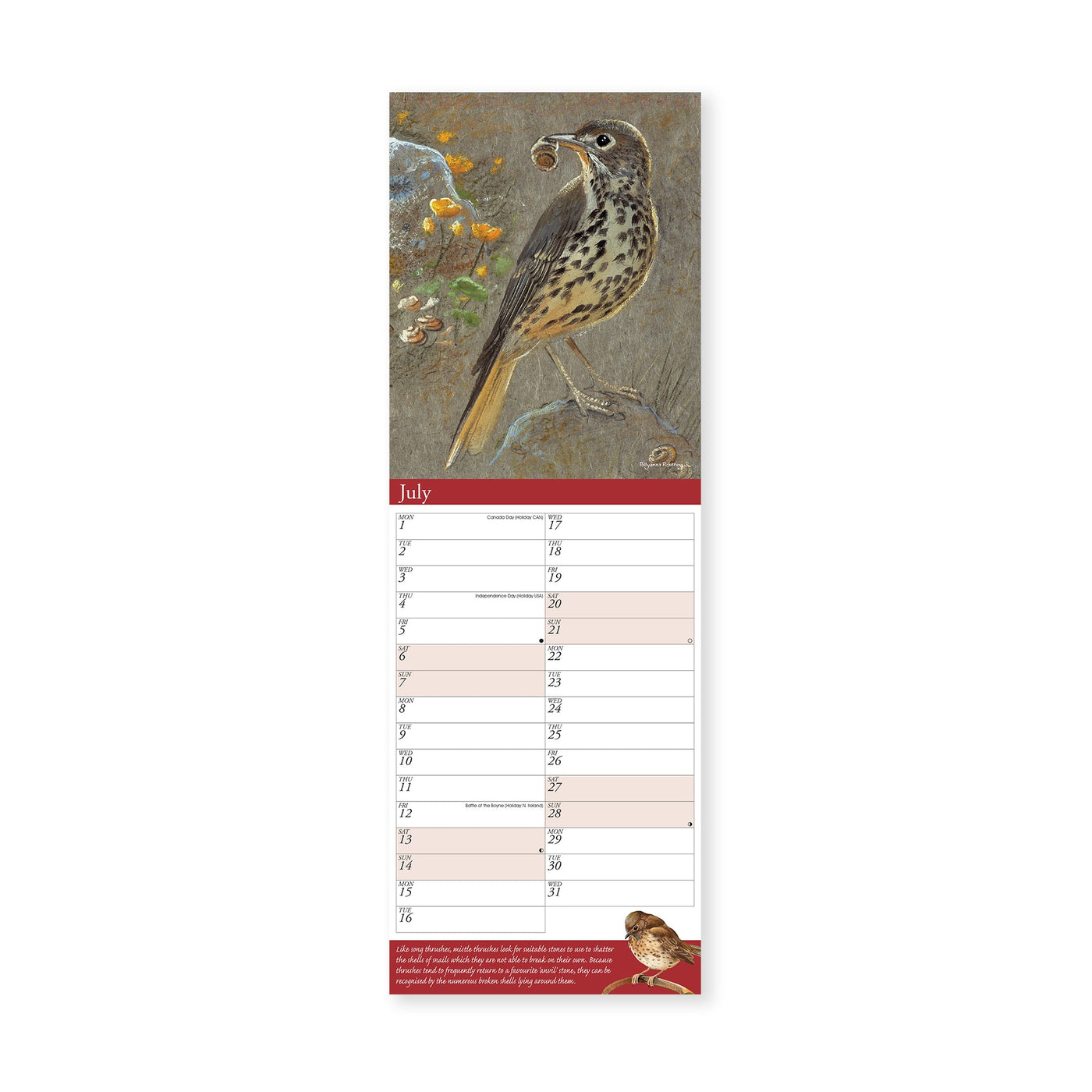 2024 Garden Birds Slim Calendar RNLI Shop