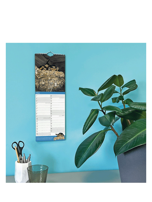 2026 Garden Birds Slim Calendar