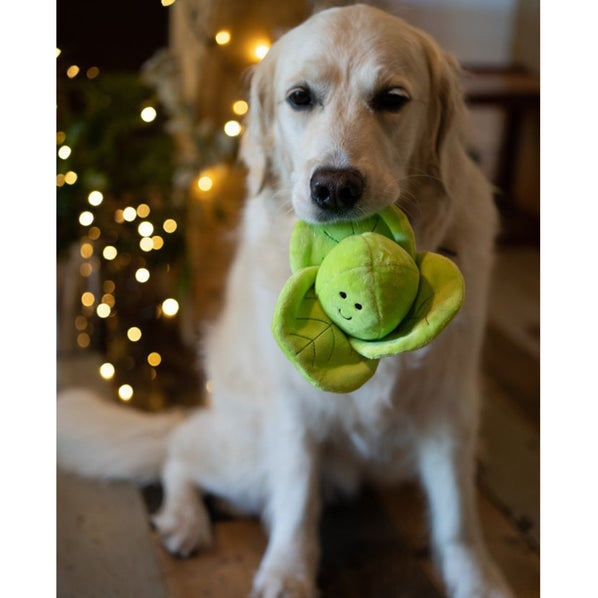 Brussel Sprout Plush Dog Toy