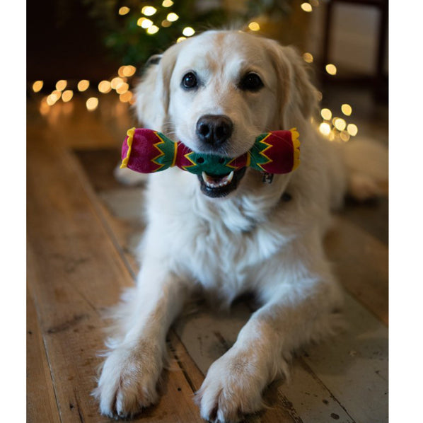 Christmas Cracker Plush Dog Toy