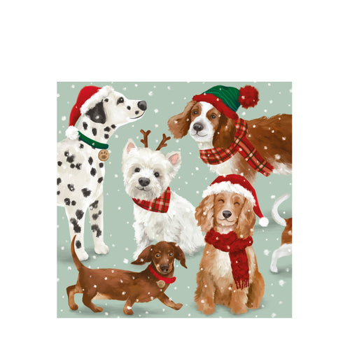 An RNLI Christmas Tails Christmas card. Featuring cute dogs wearing scarves and Santa hats.