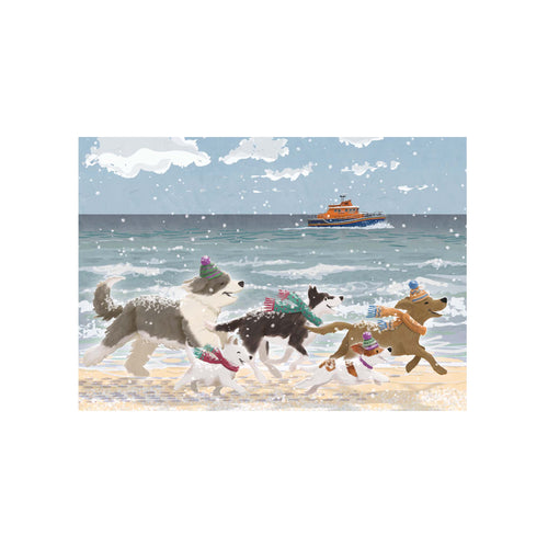 CHRISTMAS TAILS CHRISTMAS CARDS 2026