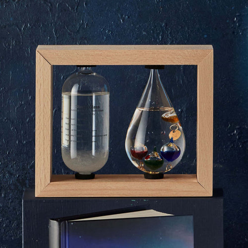 Galileo Thermometer and Storm Bottle