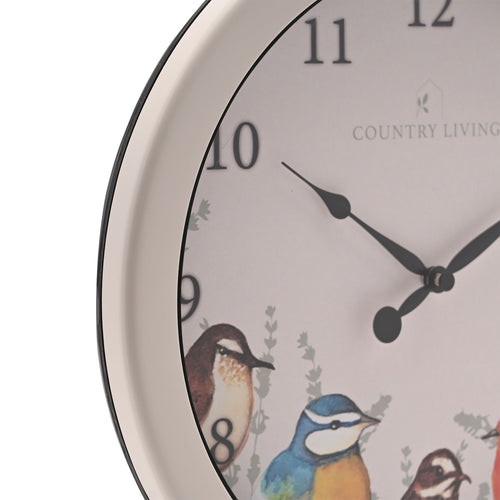 Garden Birds Outdoor Clock