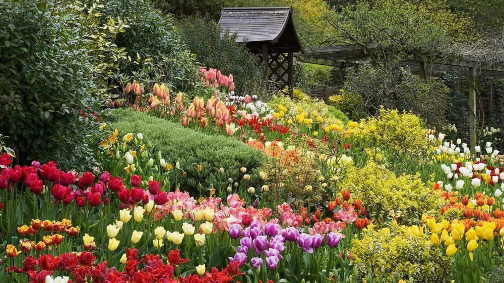  <p>Home & Garden</p> 