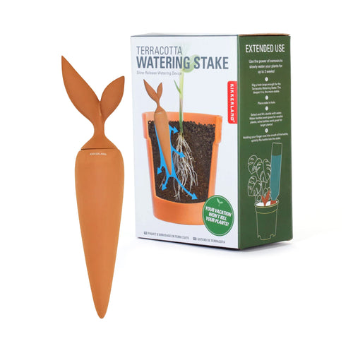 Kikkerland Terracotta Watering Stake