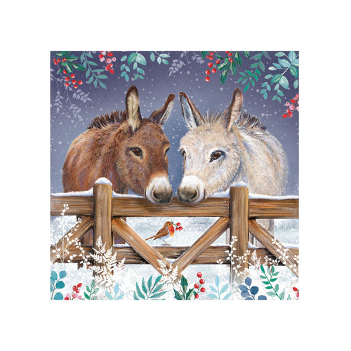 LITTLE DONKEYS CHRISTMAS CARDS 2026