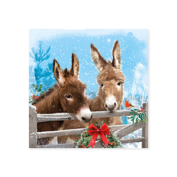 Little Donkeys Christmas Cards, Pack of 8 2025