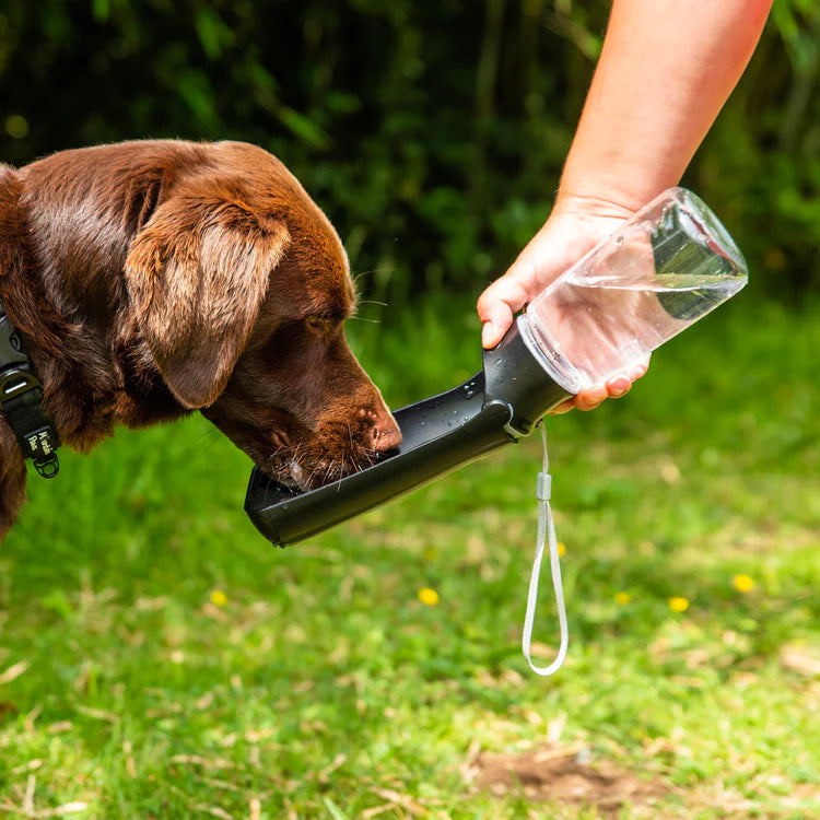 Dog Folding Water Bottle | RNLI Shop