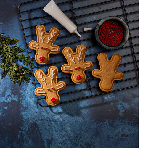 Reindeer Gingerbread Decorating Kit