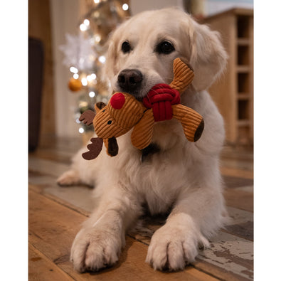 Riley Reindeer Rope Ball Dog Toy