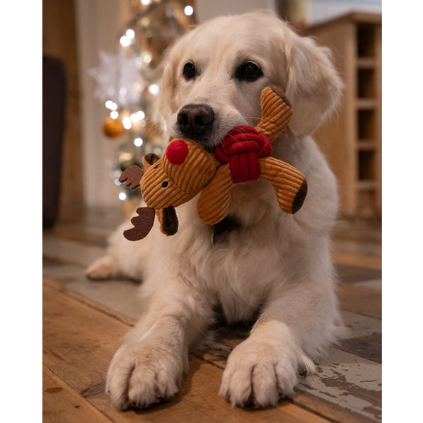 Riley Reindeer Rope Ball Dog Toy