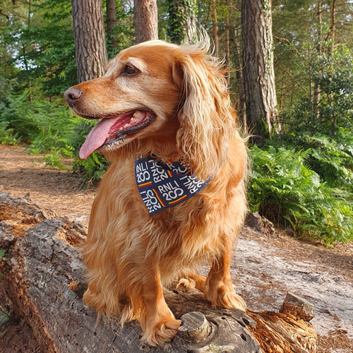 RNLI 200 Dog Bandana