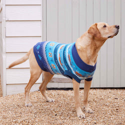 RNLI Dog Knitted Christmas Jumper
