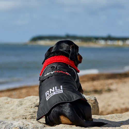 RNLI dryrobe® Dog, Black/Red