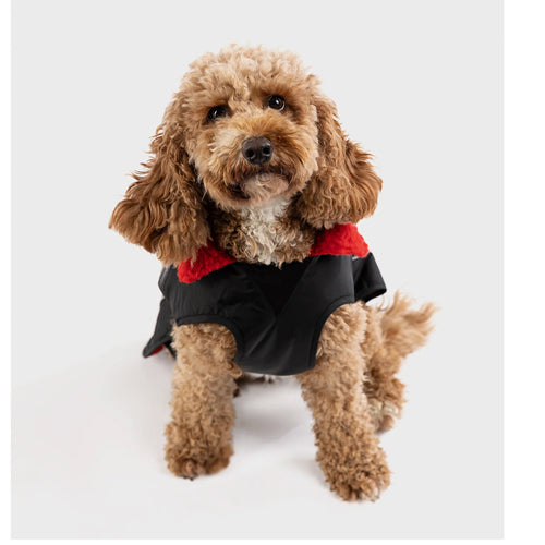 RNLI dryrobe® Dog, Black/Red