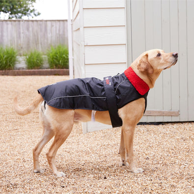 RNLI Dryrobe® Dog Coat, Black/Red