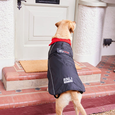 RNLI Dryrobe® Dog Coat, Black/Red