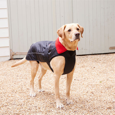 RNLI Dryrobe® Dog Coat, Black/Red