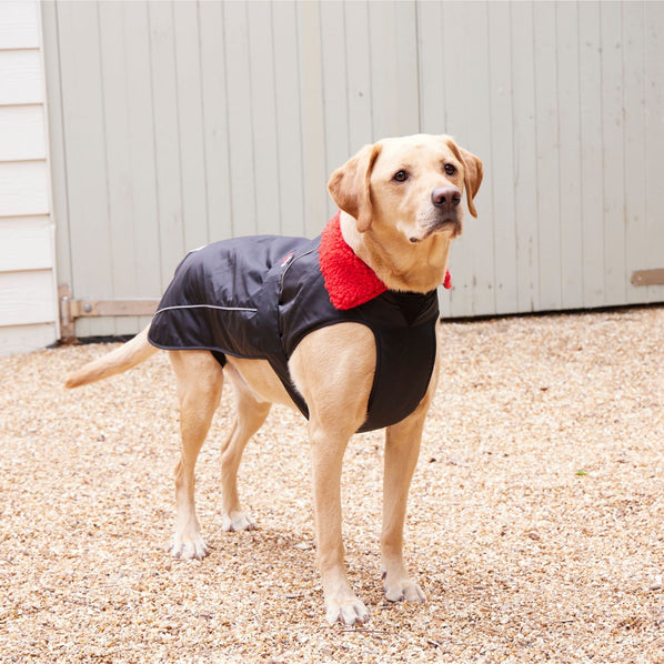 RNLI Dryrobe® Dog Coat, Black/Red