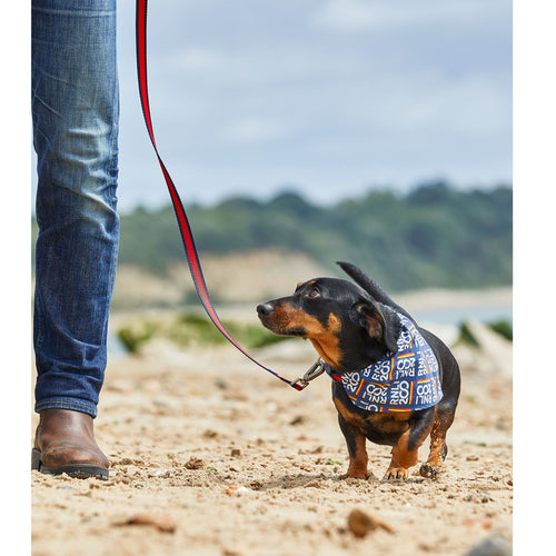 RNLI Stripe Dog Lead, Navy/Red