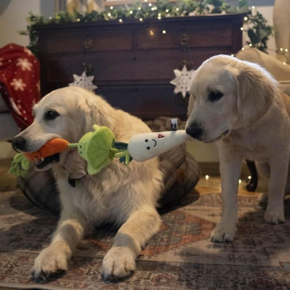 Veggie Plush and Rope Dog Toy