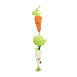 Veggie Plush and Rope Dog Toy