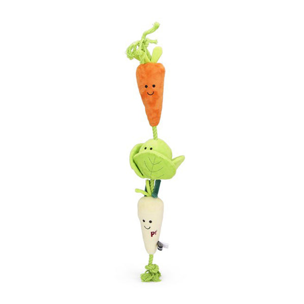 Veggie Plush and Rope Dog Toy