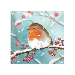 WINTER ROBIN CHRISTMAS CARDS 2026