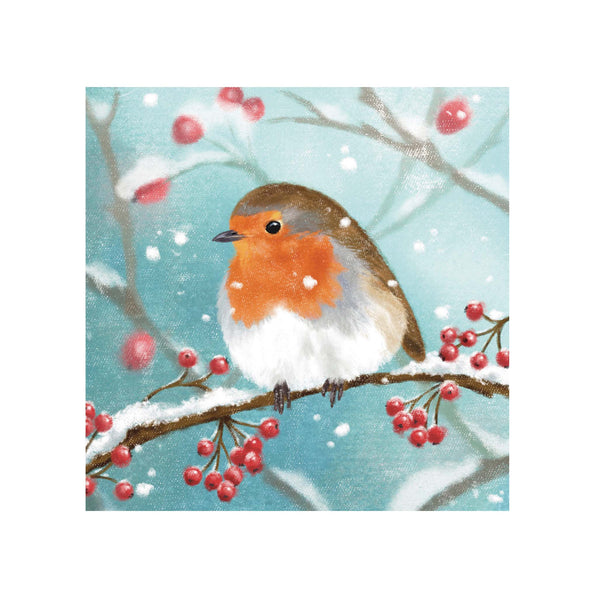 WINTER ROBIN CHRISTMAS CARDS 2026