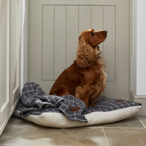 Checked Pet Pillow Mattress