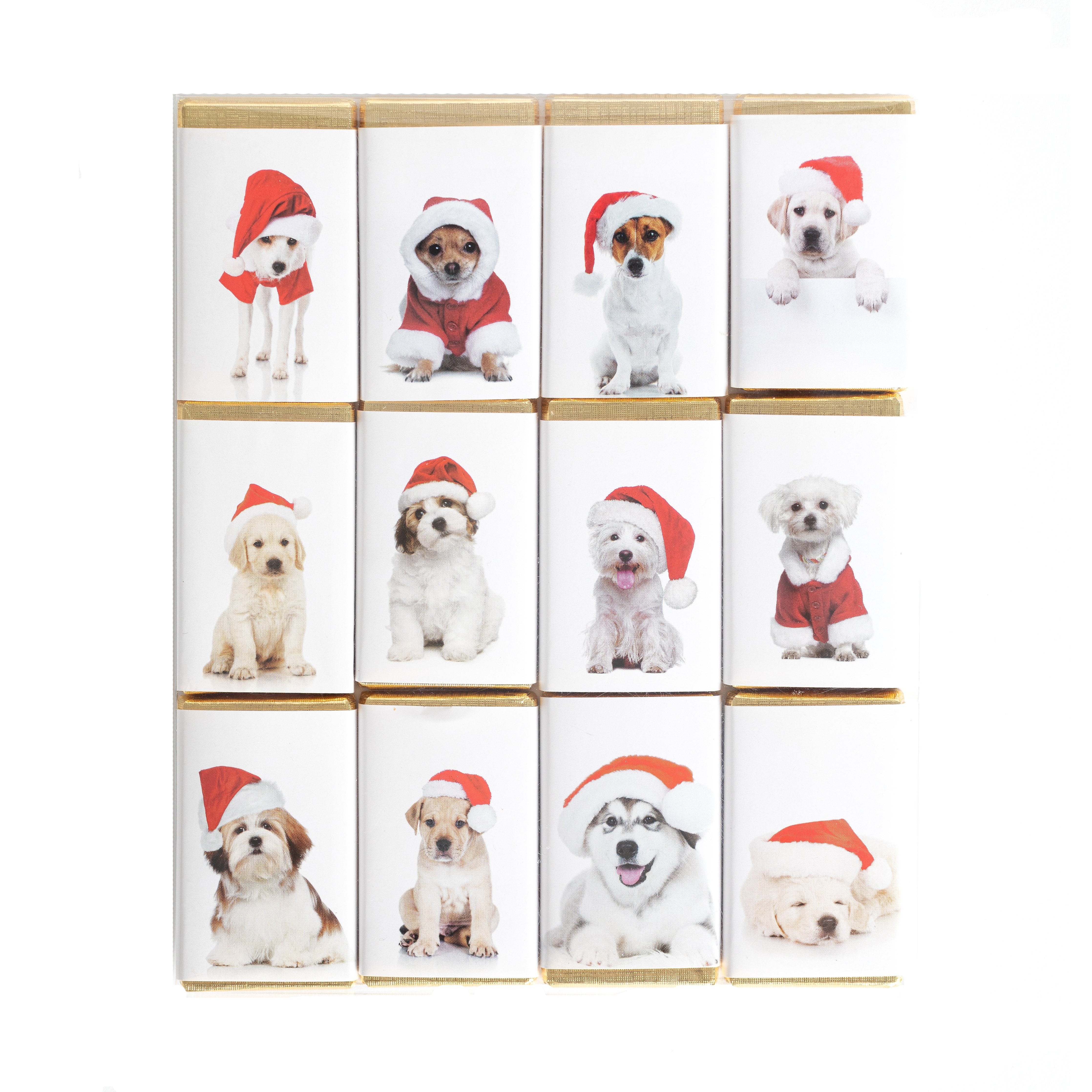 The Best Dog Christmas Gifts of 2023