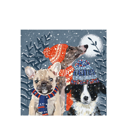 A square, illustrated christmas card of three dogs wearing colourful hats and scarves in the snow. 