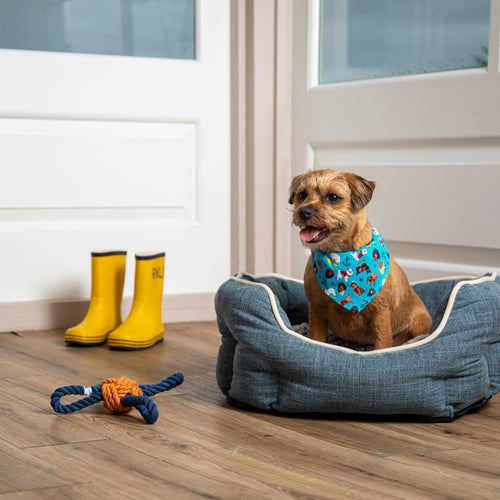 Dog Print Bandana