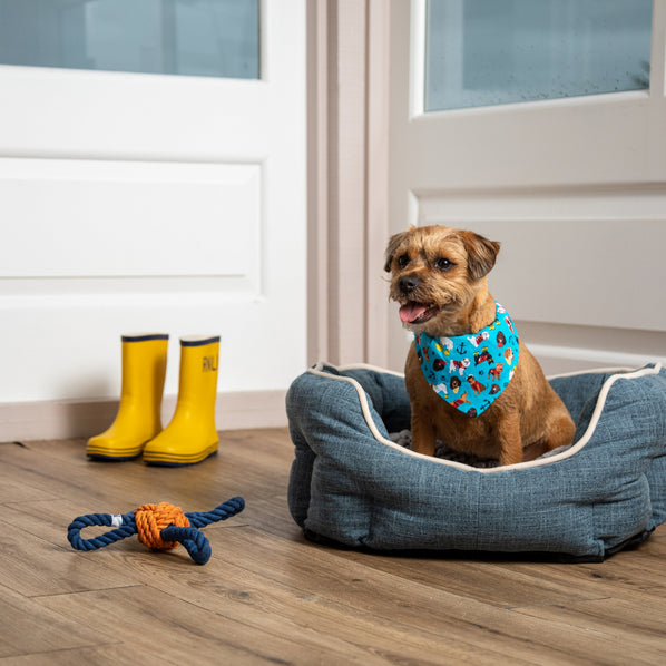 Dog Print Bandana