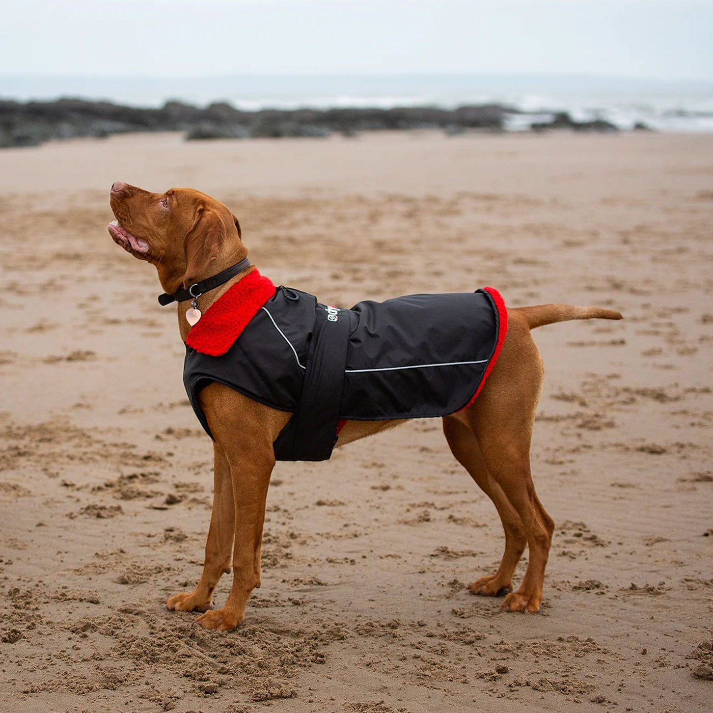 Dryrobe Dog Coat Black Red RNLI Shop dryrobe-dog-coat-black-red-rnli-shop