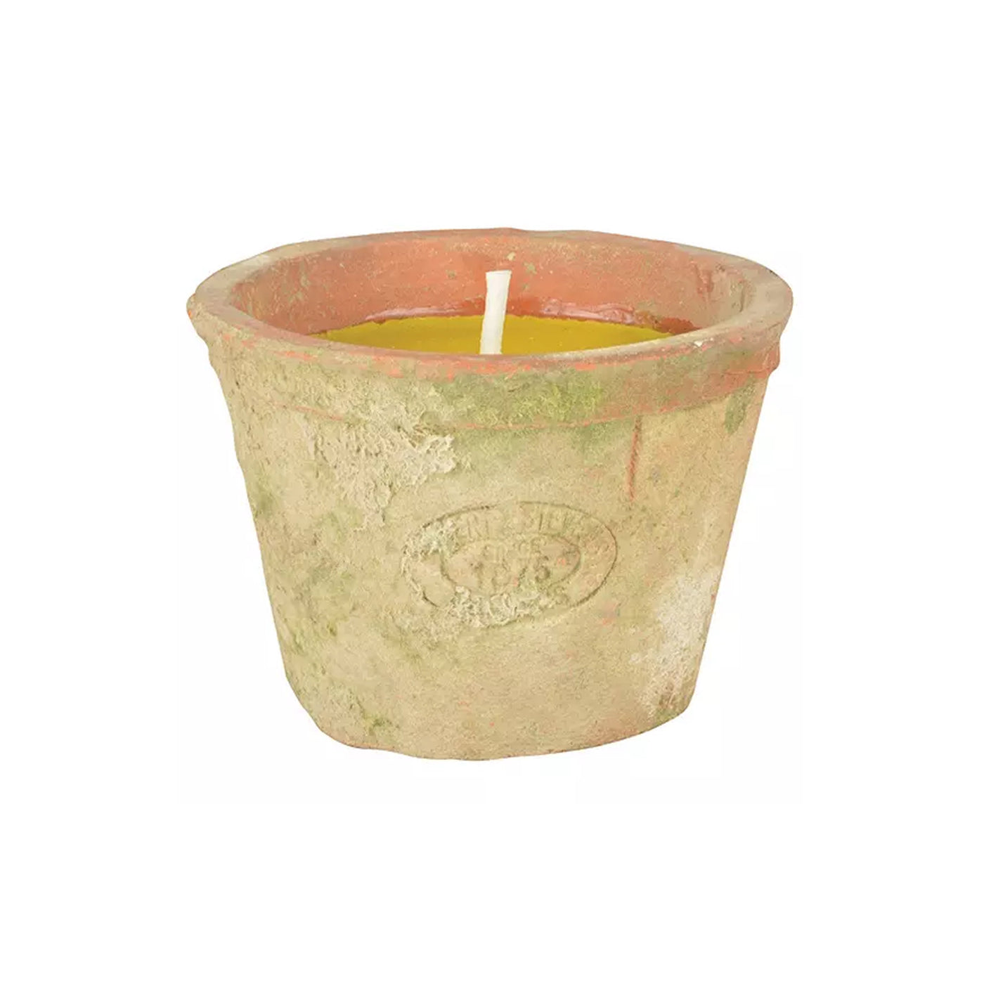 Citronella Terracotta Candle – Minda Living