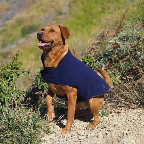 Fleece Dog Coat, Navy