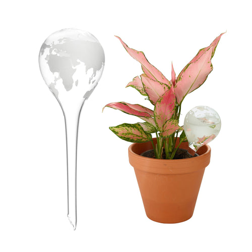 Globe Plant Waterer made from glass with a printed, silver map of the earth. It is shown in a plant pot filled with water. 