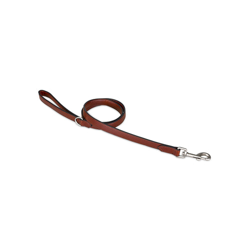 A brown dog lead with a silver metal clip.
