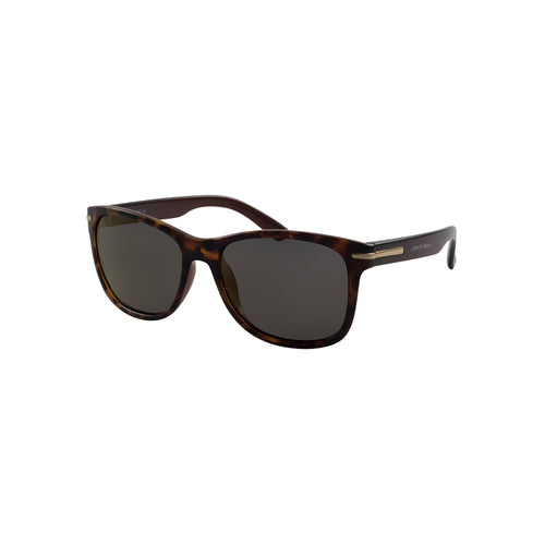 North Beach Sunglasses, Tortoiseshell