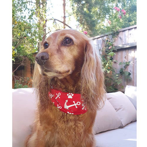 Reflective RNLI Printed Dog Bandana