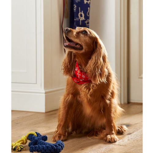 RNLI Reflective Dog Bandana