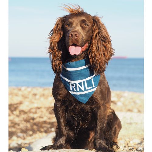 RNLI Stripe Dog Bandana