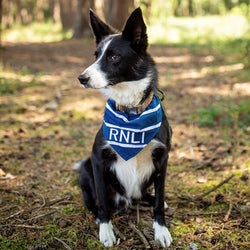 RNLI Stripe Dog Bandana