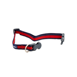 RNLI Stripe Dog Collar