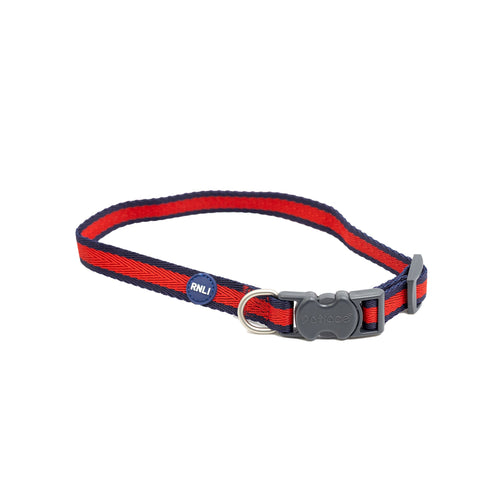 RNLI Stripe Dog Collar